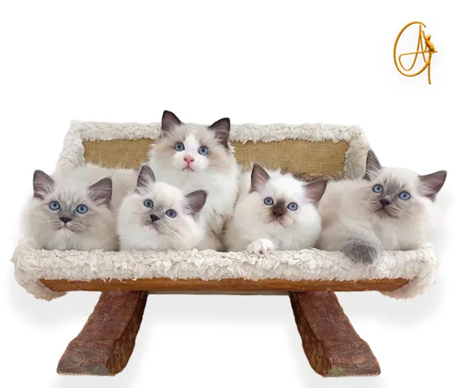 Berço AG da Linha Balaio de Gato